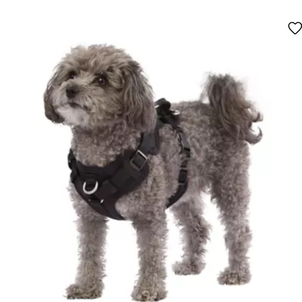 Top Paw Neoprene Dog Harness
NEVER USED!